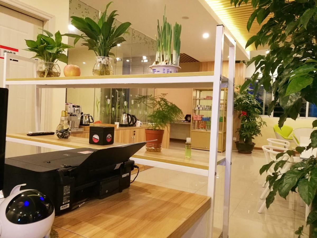The Olive Tree Capsule Hostel Shenzhen Eksteriør billede